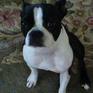 Meet your Posher, Bobbi